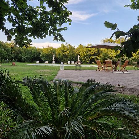 Agriturismo Terre Di Nelio 비냐넬로 외부 사진